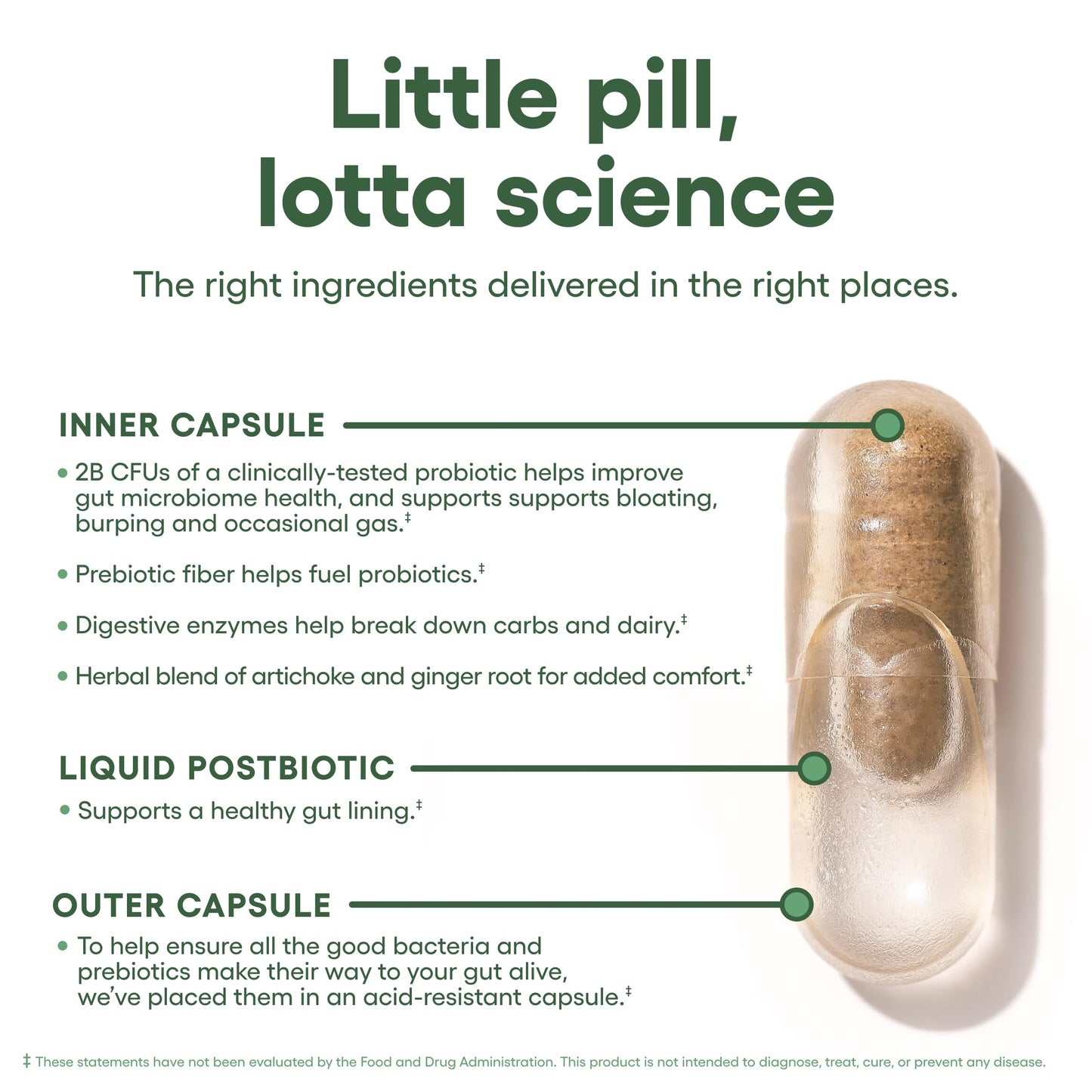 BLOAT+GAS PROBIOTIC